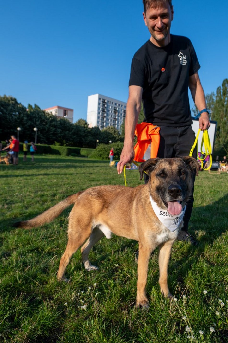 Łódź. Psia Polówka na Widzewskiej Górce. Psiaki przejęły dowodzenie!