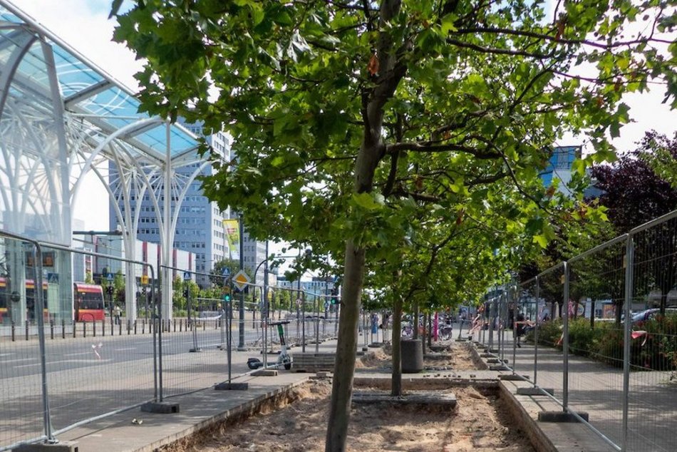 Łódź. Stajnia Jednorożców w Łodzi cała w zieleni! Zamiast betonu będą drzewa i barwne rabaty!