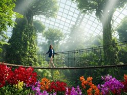 Łódź. Całoroczna dżungla w Ogrodzie Botanicznym