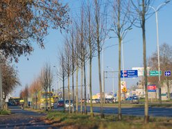 Łódź. Zielona metamorfoza Włókniarzy