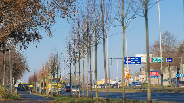 Zielona metamorfoza Włókniarzy w Łodzi. Nowe drzewa zmienią jedną z głównych arterii miasta 