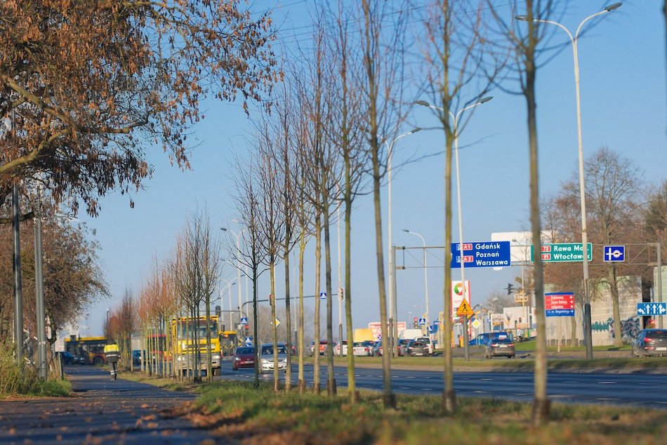 Łódź. Zielona metamorfoza Włókniarzy