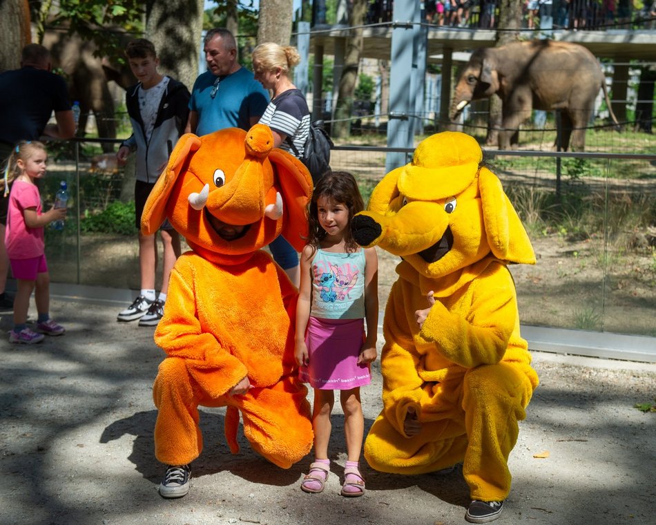 Łódzkie olbrzymy świętują! Dzień Słonia w Orientarium Zoo Łódź