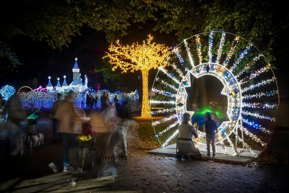 park pięknie oświetlony nocą