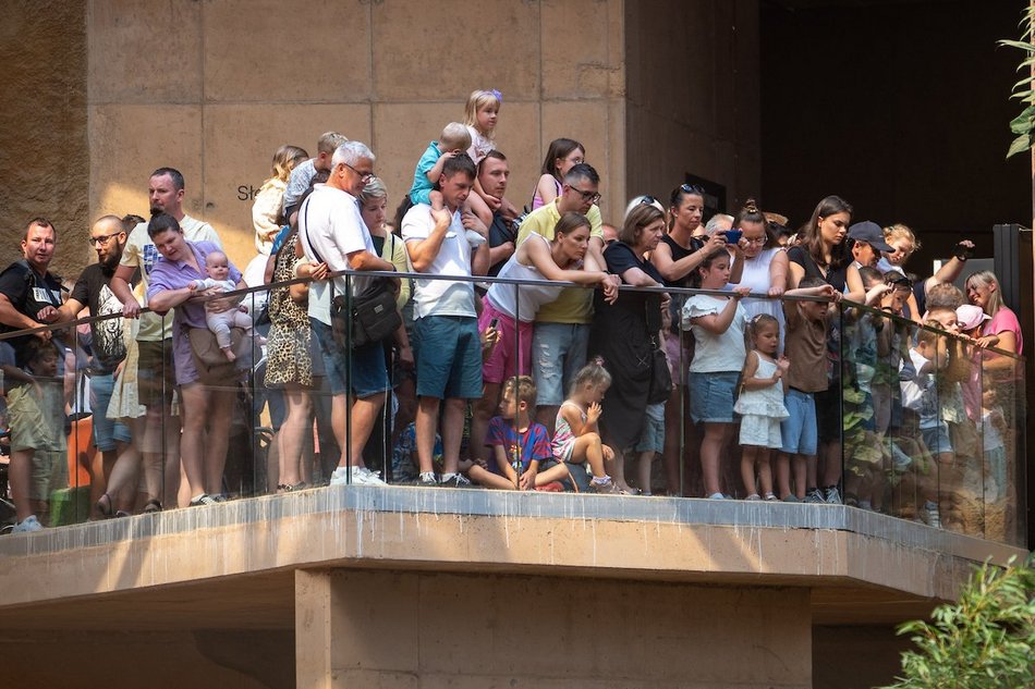Łódź. Rekordowe 5,1 mln osób odwiedziło Łódź w 2025 roku! To korzyści dla miasta i Łodzian!