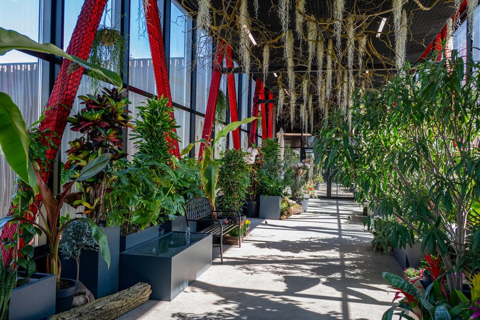 Łódź. Nowa motylarnia w Orientarium Zoo Łódź już otwarta! Największe takie miejsce w Polsce