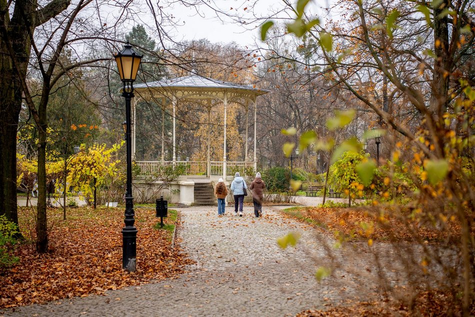 Łódź. Jesień w parku Źródliska