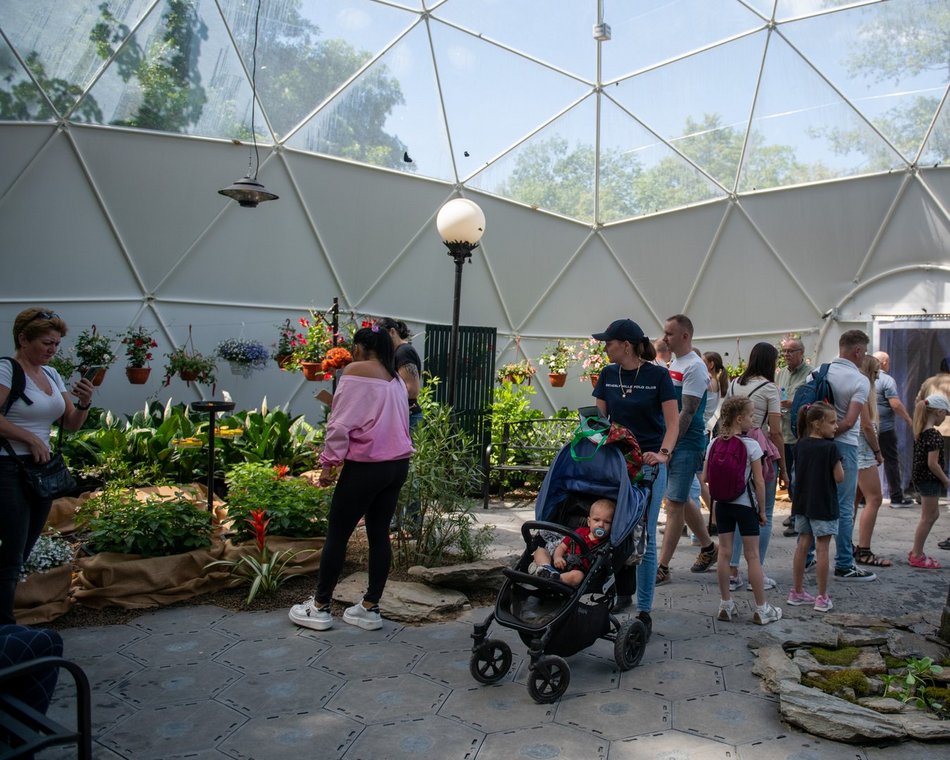 [Translate to Ukraiński:] Ostatni weekend motylarni w Orientarium Zoo Łódź