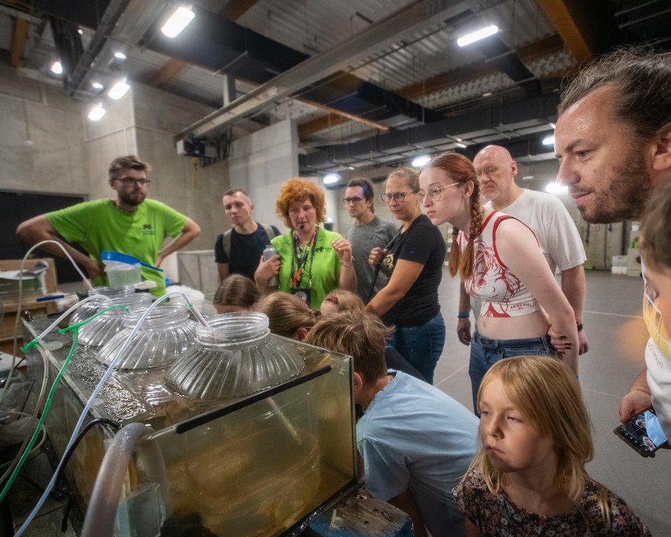 601. Urodziny Łodzi w Orientarium Zoo Łódź