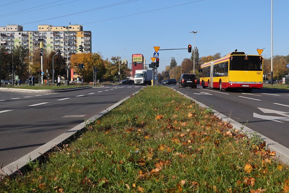 Mniej betonu, więcej zieleni! U zbiegu Lutomierskiej i Włókniarzy zakwitną rośliny