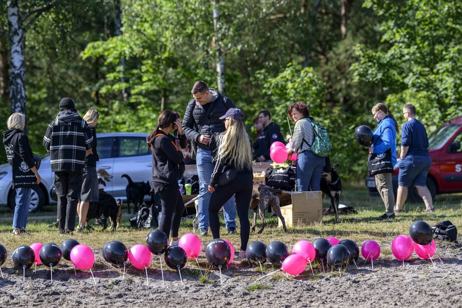 Psiejski piknik rodzinny na Uroczysku Lublinek w Łodzi. Co to była za zabawa!