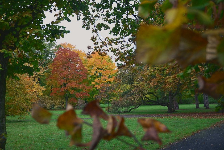 Łódź. Jesienne kadry z parków