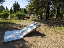 Łódź. Ekologiczne cmentarze w Łodzi. Z szacunkiem dla natury i pamięci