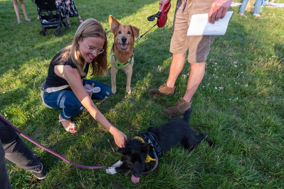 Łódź. Psia Polówka na Widzewskiej Górce. Psiaki przejęły dowodzenie!