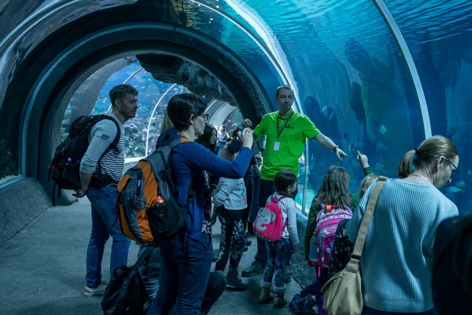 dzieci podczas ferii szkolnych