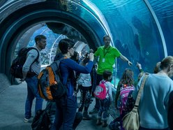 dzieci podczas ferii szkolnych