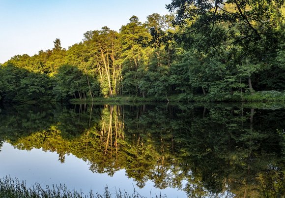 Łódź. Piknik Przyrodniczy w Parku Krajobrazowym Wzniesień Łódzkich. Weź udział i pomóż Frankowi! 