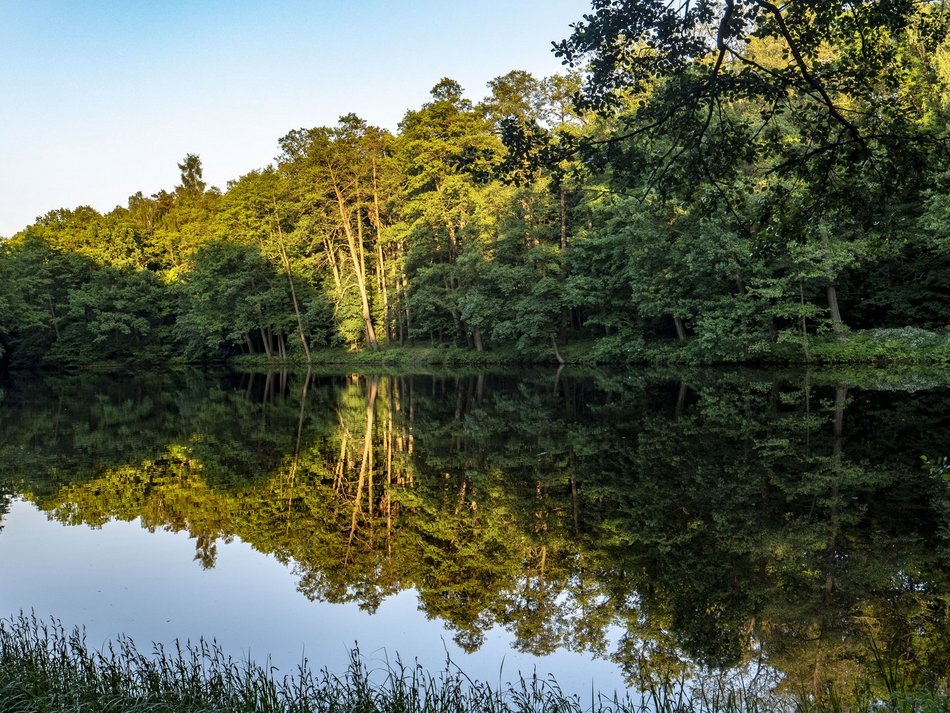 Łódź. Piknik Przyrodniczy w Parku Krajobrazowym Wzniesień Łódzkich. Weź udział i pomóż Frankowi! 