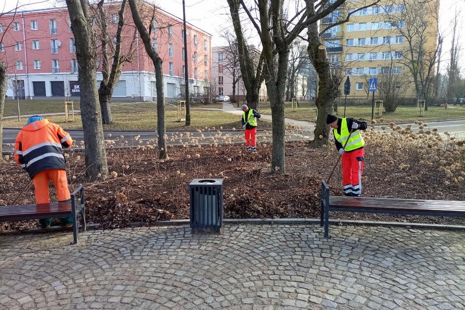 Łódź. Łódź sprząta na błysk po zimie! Pracownicy nie próżnują i porządkują ulice, parki, chodniki i nie tylko