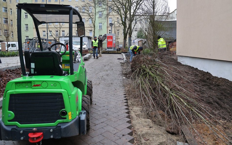 Sadzenie drzew i krzewów przy ul. Legionów