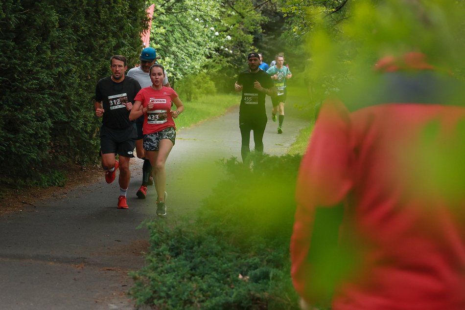 Łódź. Botaniczna Piątka. Setki łodzian pobiegły w Ogrodzie Botanicznym w Łodzi