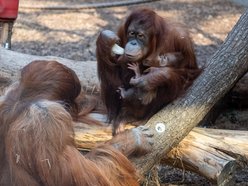 Łódź. Orientarium Zoo Łódź