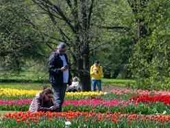 Łódź. Akademia Różnorodności w Ogrodzie Botanicznym w Łodzi. W planie warsztaty i relaksujący spacer