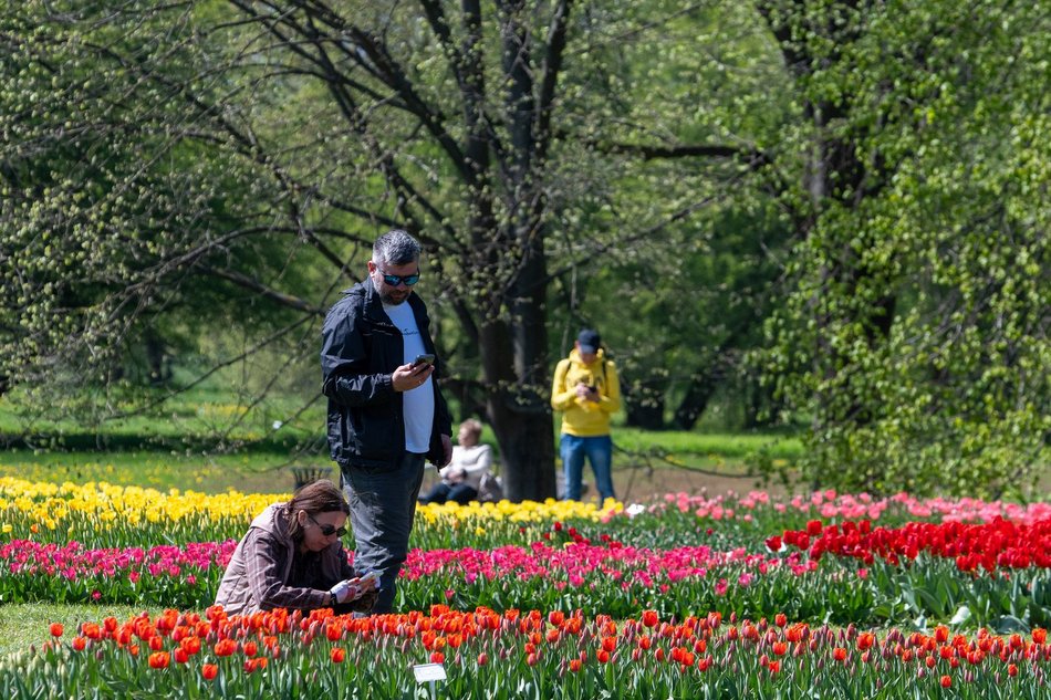 Łódź. Akademia Różnorodności w Ogrodzie Botanicznym w Łodzi. W planie warsztaty i relaksujący spacer