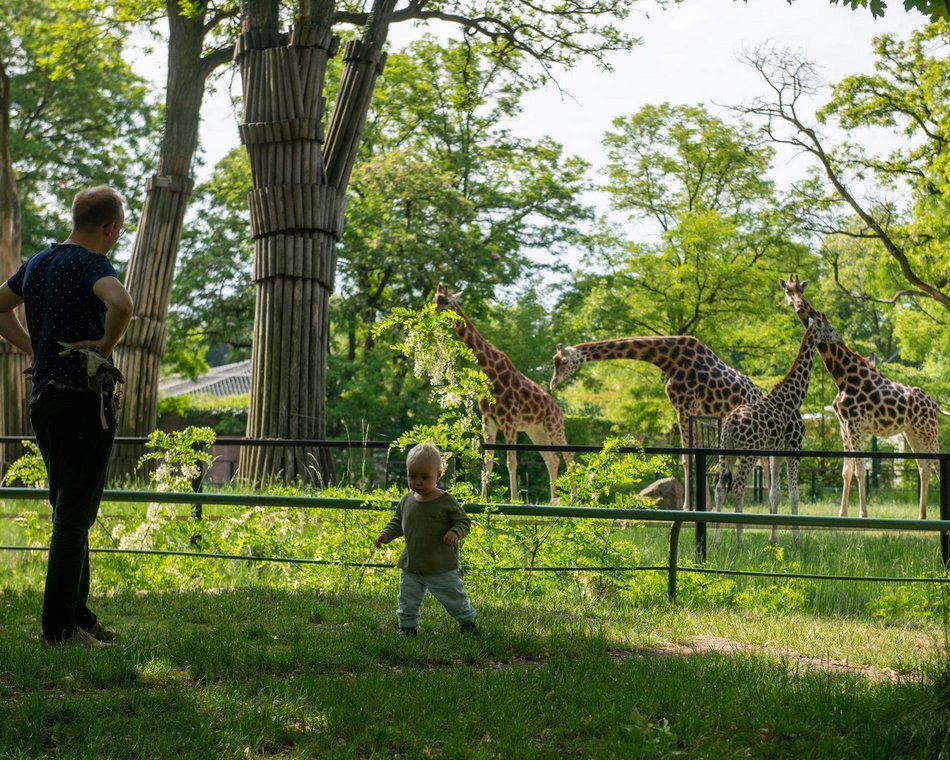 Łódź. Orientarium Zoo Łódź