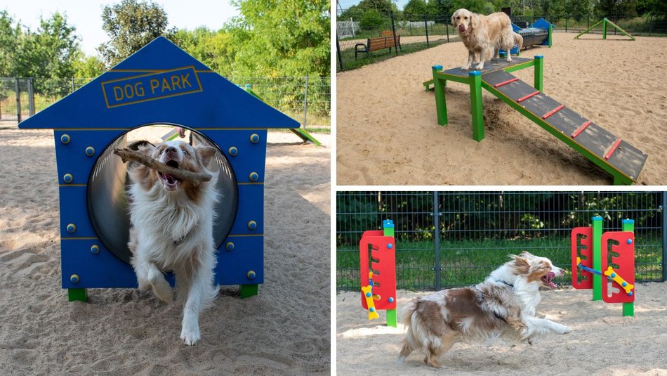 Łódź. Z czworonogiem na plac zabaw? W Łodzi powstaną kolejne psie parki