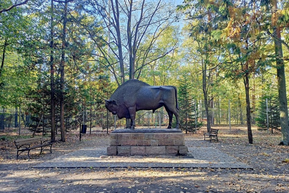 Łódź. TOP 11 atrakcji Spalskiego Parku Krajobrazowego. Natura, historia i przygoda w jednym