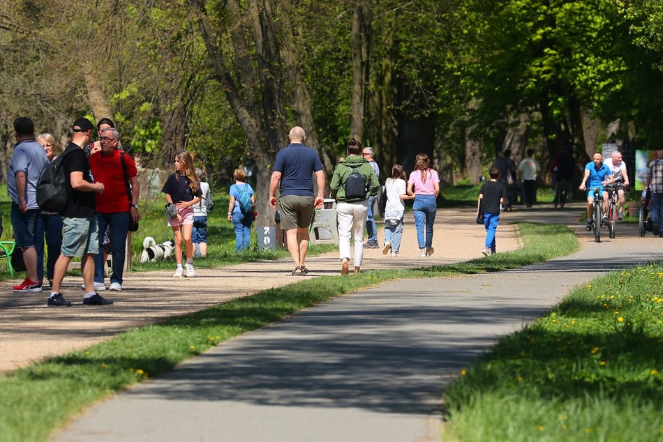 Łódź. Majówka na Stawach Stefańskiego w Łodzi. Słowiańska wioska, rowery wodne i grillowanie