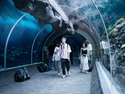 Łódź. Orientarium Zoo Łódź