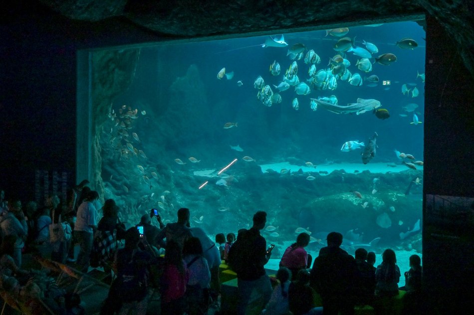 Łódź. Grudniowa promocja w Orientarium Zoo Łódź