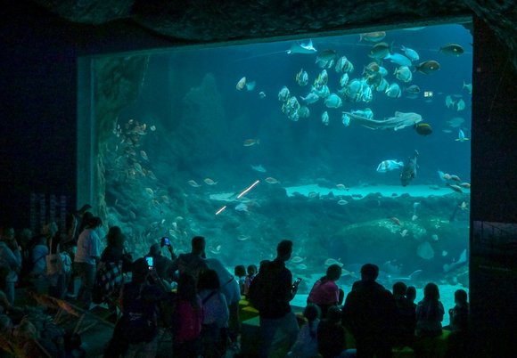 Łódź. Grudniowa promocja w Orientarium Zoo Łódź