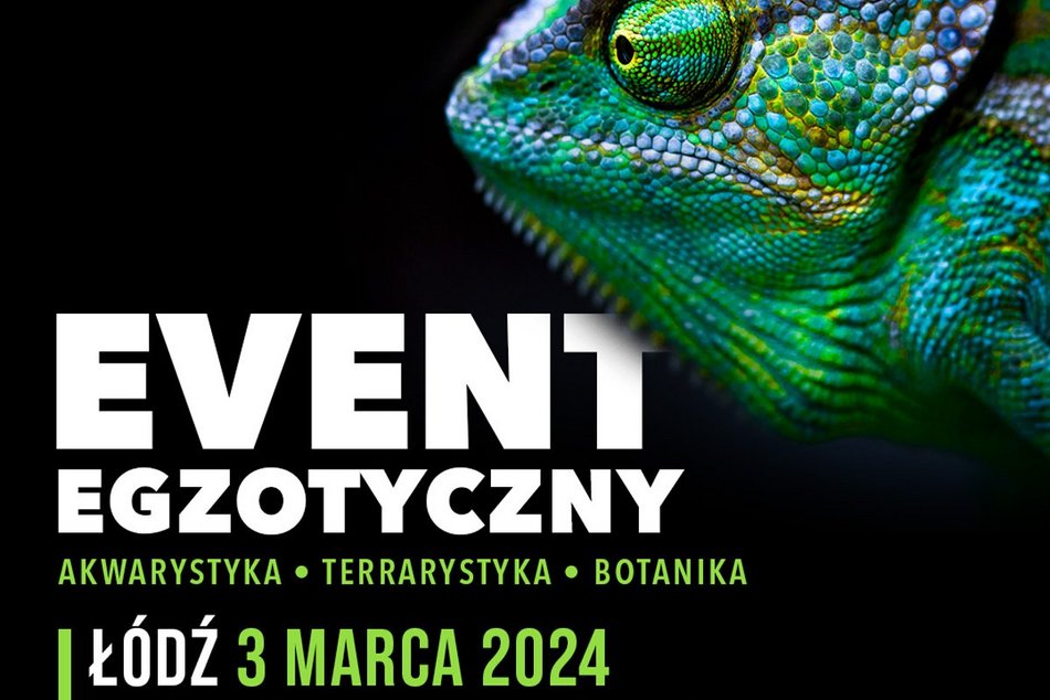 Targi ZooEgzotyka w Łodzi