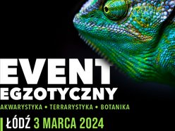 Targi ZooEgzotyka w Łodzi