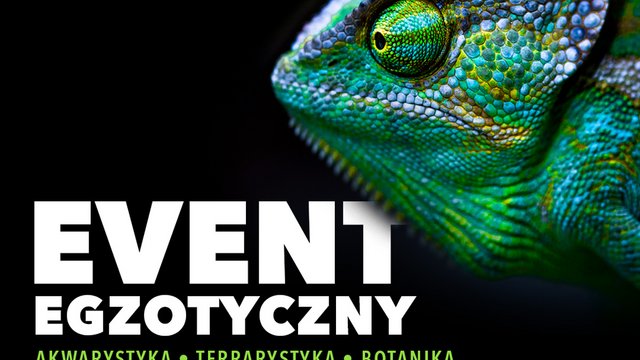 Targi ZooEgzotyka w Łodzi. Przyjdź i odkryj świat egzotycznych zwierząt!
