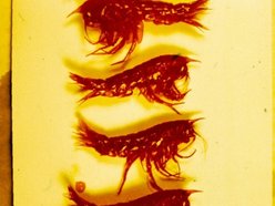 Łódź. Wyprawa krylowa naukowców z Łodzi