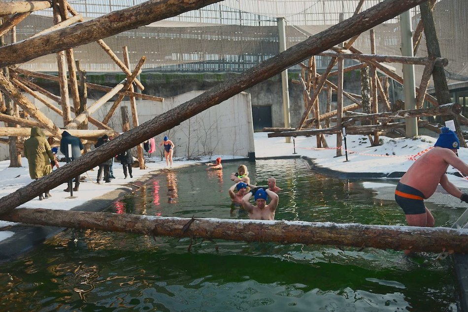 Łódź. Miłośnicy zimnych kąpieli w Orientarium Zoo Łódź