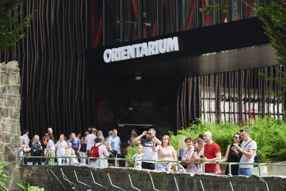 zwierzęta w orientarium