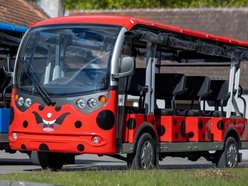 Łódź. Meleksami do atrakcji! Dojedziesz nimi do Orientarium Zoo Łódź, Aquaparku Fala i Atlas Areny!