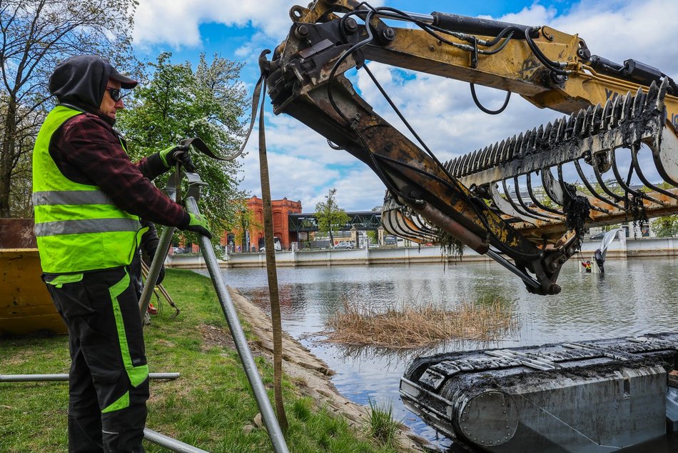 Łódź. Wielki powrót fontanny do Parku Reymonta w Łodzi! Dlaczego wcześniej zniknęła?