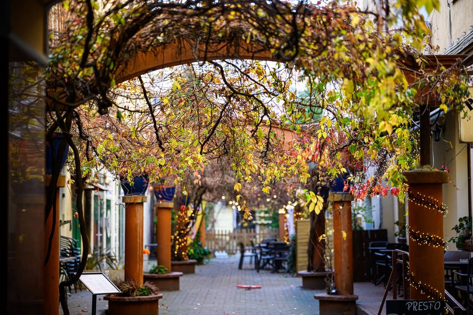 Najpiękniejsze jesienne podwórko w Łodzi? Zajrzyj na Piotrkowską 67!