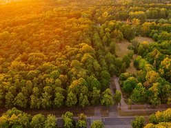 Łódź. Nowe plany miejscowe w Łodzi. Które tereny zielone znajdą się pod ochroną?