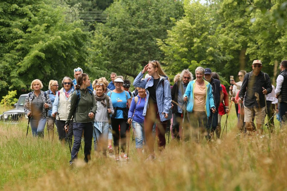 Nordic walking dla seniorów
