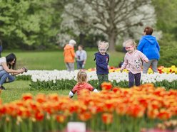 Ogród Botaniczny w Łodzi