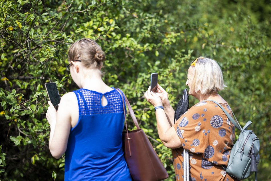 Warsztaty w Ogrodzie Botanicznym w Łodzi