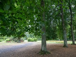 Łódź. Lipowa aleja w parku na Zdrowiu. Zielone serce Łodzi