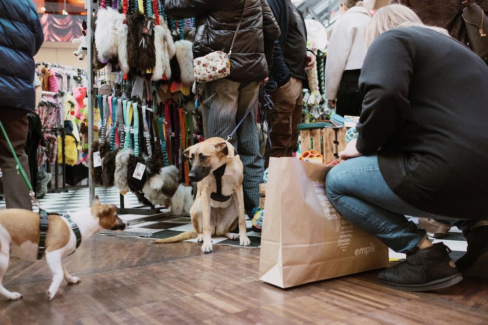 Łódź. Psi Targ w Manufakturze